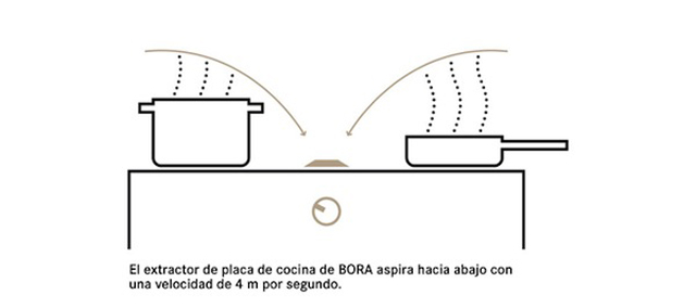bora-ilustración-2